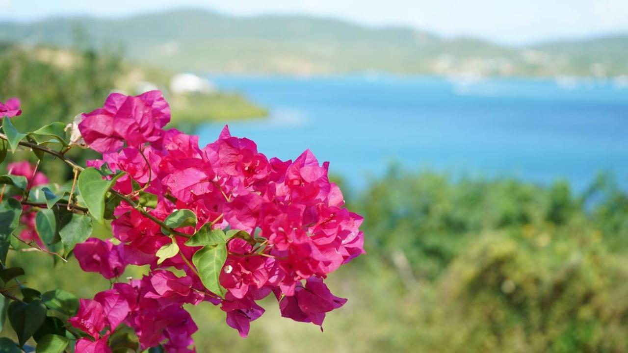 Coqui Beach Home, Culebra Isla Culebra Buitenkant foto