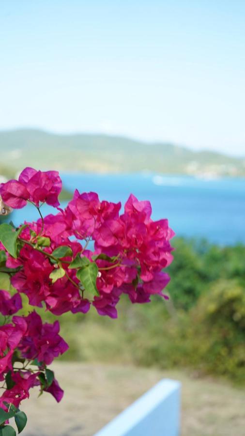 Coqui Beach Home, Culebra Isla Culebra Buitenkant foto
